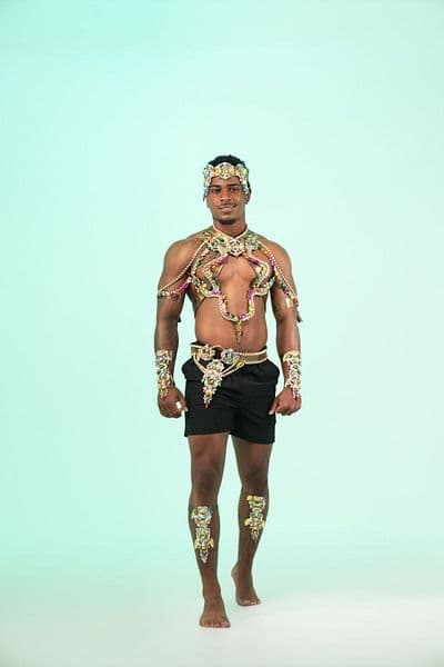 Image 2